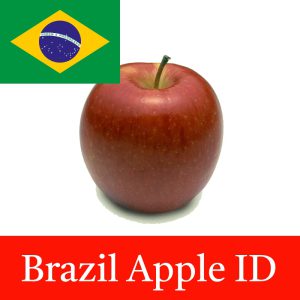 Brazil Apple ID