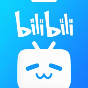 Bilibili big member top up