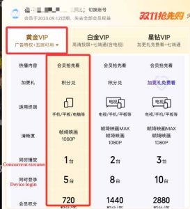 iQIYI Gold VIP Code Privileges